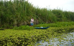 Thú vui bơi xuồng câu thọt ở sông rạch Cửu Long