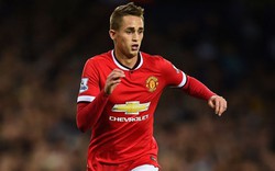 M.U chuẩn bị biến Januzaj thành “vật tế thần”