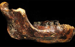 Phát hiện hóa thạch chủng người chưa được biết đến ở châu Á