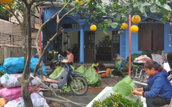 Mục sở thị làng gói bánh chưng xây nhà lầu, tậu xe hơi “độc” nhất Việt Nam