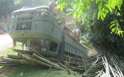 Thanh Hóa: Lật xe chở luồng, 7 người thương vong