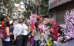 Hoa “để mãi không tàn” hàng chục năm vẫn hút khách