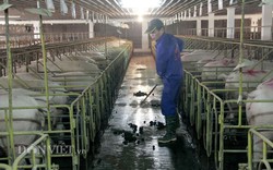Chàng SV Bách Khoa thành ông chủ trang trại “đệ nhất” xử lý môi trường