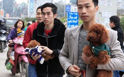 Hàng trăm bạn trẻ Hà Nội đưa chó mèo đi khám bệnh miễn phí