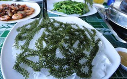Rong nho Nhật lên bàn ăn tết Việt