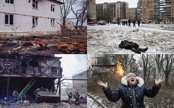 Ukraine: Chùm ảnh “Chiến tranh là địa ngục” gây ám ảnh 
