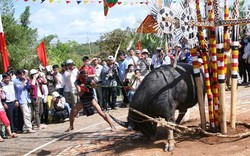 Những lễ hội &#34;tàn bạo&#34;: Hiểu sao cho đúng?