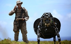 &#39;Chó sắt&#39; mới của Google sẽ tham gia huấn luyện quân sự