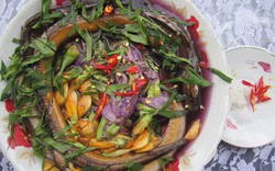 Ra Tết ăn canh chua lươn nấu bông lục bình
