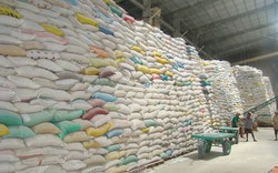 Xung quanh việc tạm trữ 1 triệu tấn quy gạo: Chưa có cách tốt hơn