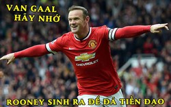 ẢNH CHẾ: Rooney sinh ra để đá tiền đạo, M.U “ăn rùa”