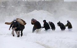 Chùm ảnh: Lở tuyết kinh hoàng làm chết hàng trăm người ở Afghanistan 