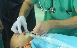 Phẫu thuật miễn phí cho trẻ hở hàm ếch tại Hà Nội và TPHCM