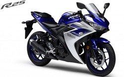 Ra mắt Yamaha R25 ABS giá 96 triệu đồng
