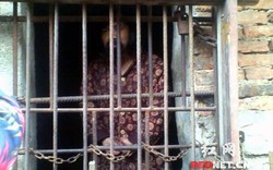 Trung Quốc: Mẹ nhốt con trong chuồng gà suốt 13 năm