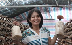 Nữ nông dân  đưa nấm Việt vươn xa