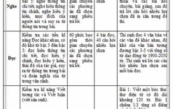 Bộ GD-ĐT công bố định dạng đề thi đánh giá năng lực sử dụng tiếng Anh 