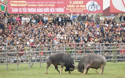 Chương trình “bánh xe yêu thương nâng bước đến trường”: Nhân lên những nghĩa cử đáng trọng