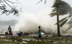 Người Việt an toàn trong tâm bão Pam ở Vanuatu