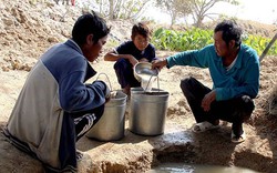 Nam Bộ quay cuồng trong nắng hạn