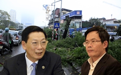 Vụ chặt 6.700 cây xanh: Chủ tịch HN gửi thư trả lời ông Trần Đăng Tuấn