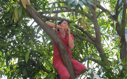 HN: Gặp người phụ nữ từng “cố thủ” trên cây phản đối chặt hạ