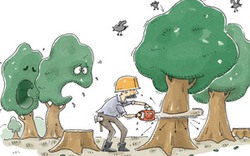 7 lý do để ủng hộ việc chặt cây ở Hà Nội