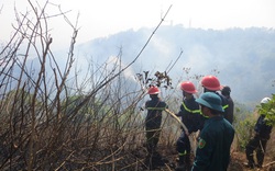 Gia Lai: Cháy lớn, thiêu rụi 3ha rừng trên núi Hàm Rồng