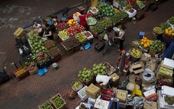 Việt Nam sẽ là con hổ dũng mãnh của nền kinh tế châu Á