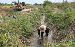 “Cuộc chiến” giành nước vùng hạn