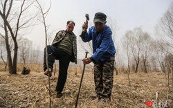 TQ: Lão cụt dắt lão mù trồng 10.000 cây bảo vệ làng