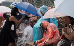 Singapore mưa trắng trời ngày đưa tiễn cố Thủ tướng Lý Quang Diệu