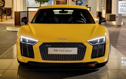 Audi R8 V10 Plus màu vàng nổi bần bật tại Đức