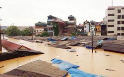Năm 2015 dự báo Việt Nam chịu 9-10 cơn bão