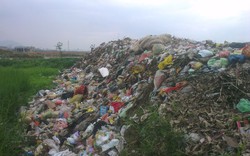  Bãi rác gây ô nhiễm 
