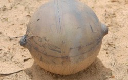 Lý giải thuyết phục về quả cầu lạ giống ở Tuyên Quang