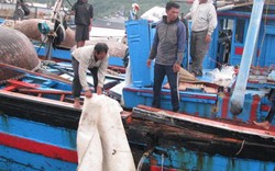 Phản đối tàu Trung Quốc đâm húc tàu cá ngư dân Quảng Ngãi
