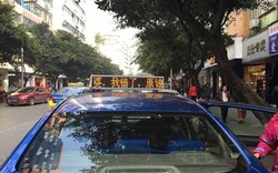 Chồng thuê 1.407 chiếc taxi chạy chữ 'xin lỗi vợ!'