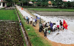 Cả xóm góp tiền làm đường