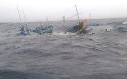Tàu cá cùng 8 ngư dân bị tàu lạ đâm chìm trên biển Hoàng Sa