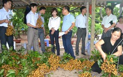 Hà Nội: Tạo cơ hội để nông dân bắt tay cùng doanh nghiệp