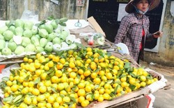 Cận Tết, trái cây Trung Quốc ùn ùn dội chợ