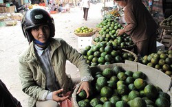 Giá rau quả đang tăng