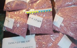 Hàng tấn ma túy đá nhập lậu vào Việt Nam