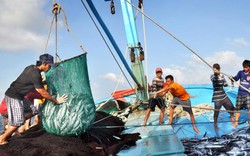 “Kinh tế muốn vững phải đi bằng 2 chân”