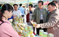 Khai hội tôn vinh “thần dược” đắt đỏ ở Quảng Ninh