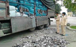 Hơn 20 tấn mực khô hôi thối đi xe tải về Hà Nội
