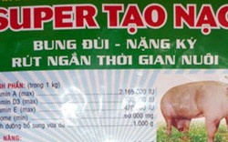 Thu giữ 7 tấn thức ăn chứa chất tạo nạc