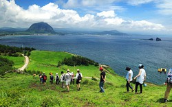 Vụ 59 du khách Việt mất tích tại đảo Jeju: Đủ chiêu trốn làm lao động chui