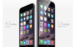 iPhone 6 và 6 Plus chính hãng giảm giá mạnh